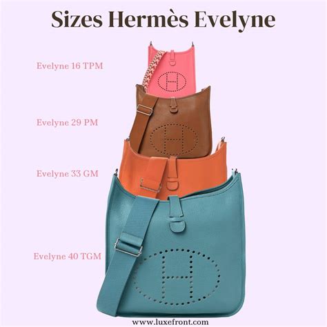 mini evelyne singapore price 2024